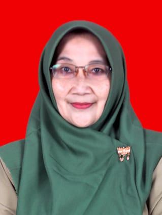 Profil Picture Dra. Lilis Faridah, M.Pd